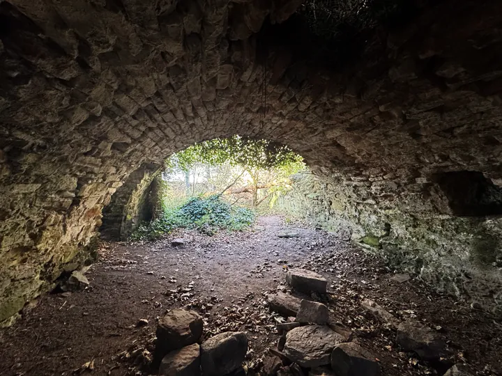 View through a low stone arch towards woodland at Auldhame Castle