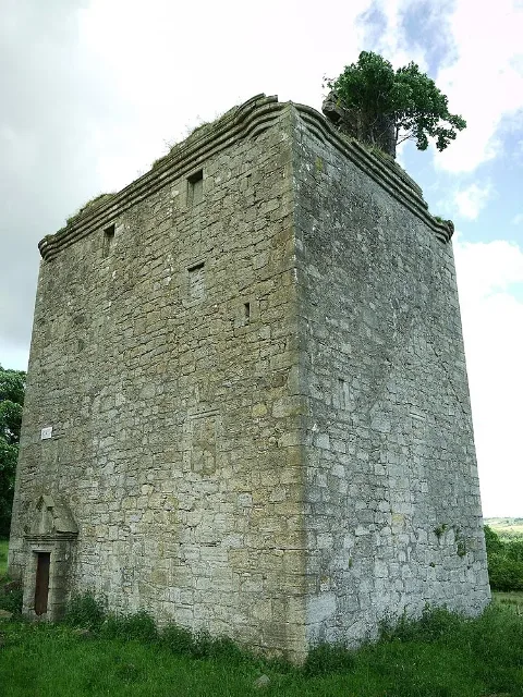 Corner view of Barr Castle showing two stone walls and vegetation at the top.