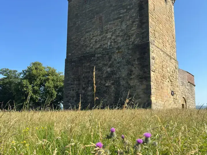 Stone walls of Clackmannan Tower above tall grass and purple flowers
