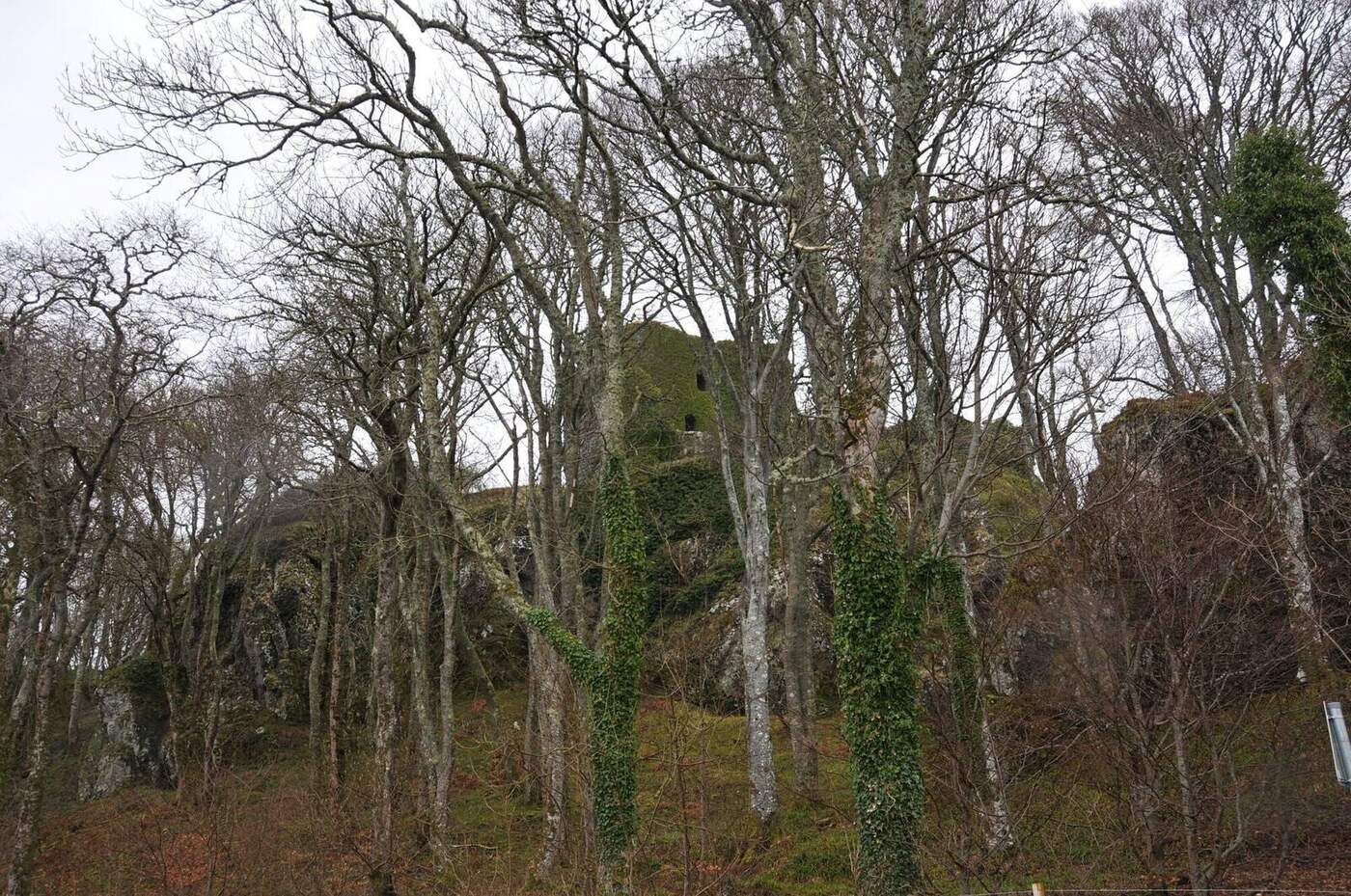 Dunollie Castle ruins partly hidden among bare trees