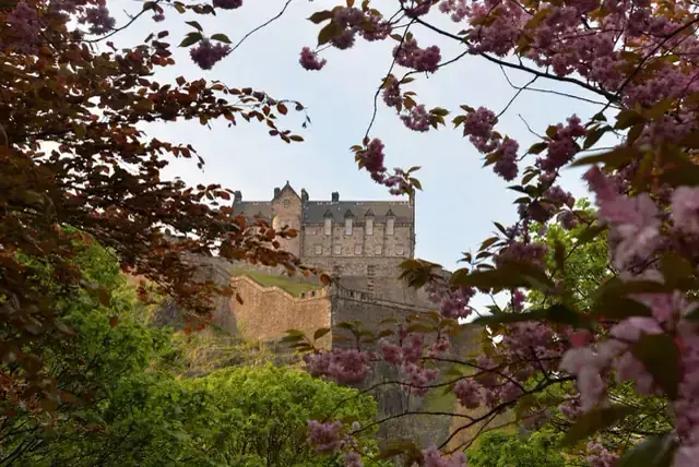 Edinburgh Castle seen through flowering branches
