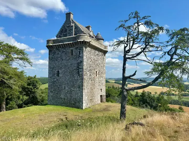Fatlips Castle tower beside a sparse tree overlooking farmland
