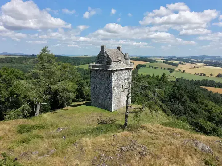 Fatlips Castle among trees above a grassy hilltop