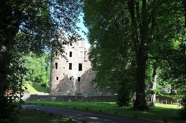 Huntly Castle tower partly hidden by a large tree beside a path