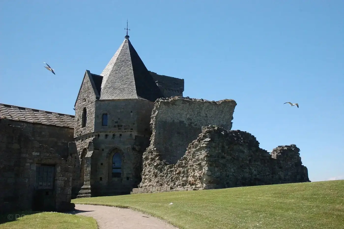 Inchcolm Abbey's pointed roof and ruined walls beside a lawn