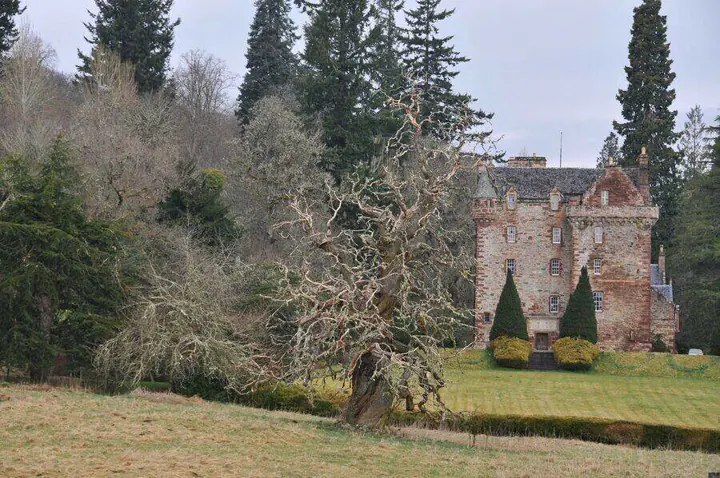 Castle Leod partly screened by a large bare tree