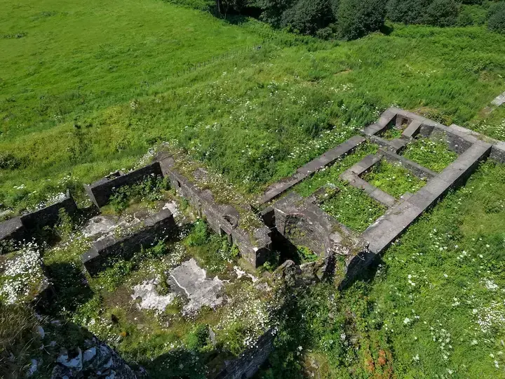 Roofless rooms and low wall outlines at Lochwood Castle amid tall grass
