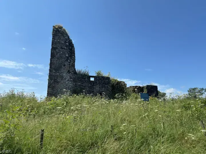 Standing wall fragment of Lochwood Castle rising above tall grass