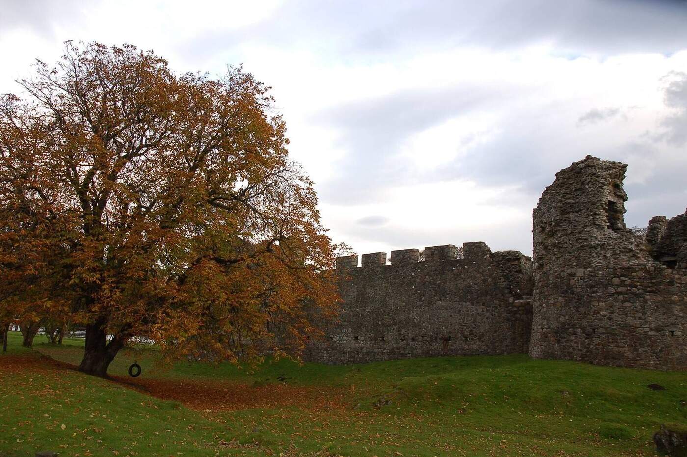 Old Inverlochy Castle walls beside a tree with autumn leaves