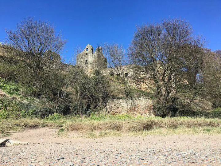 Ravenscraig Castle ruins seen from the shore through bare trees