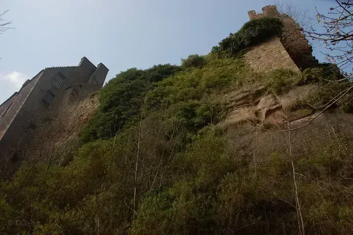 Roslin Castle buildings and ruins above a steep ivy-covered slope