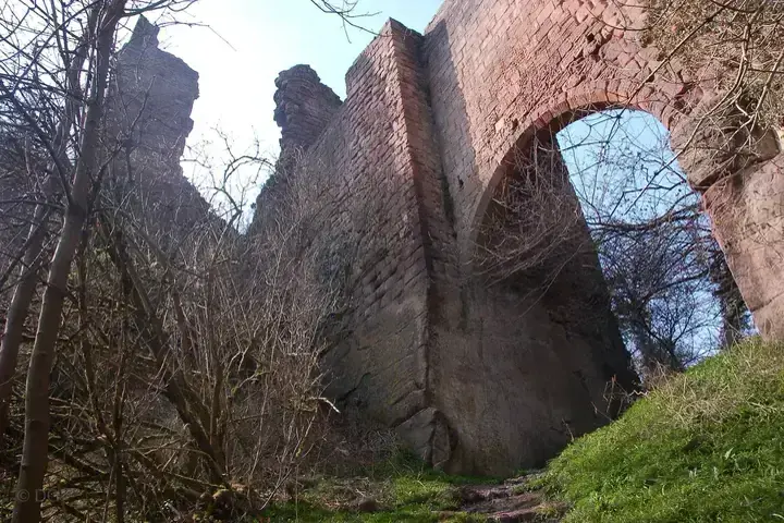 Roslin Castle's ruined walls and tall arch rising above a wooded slope