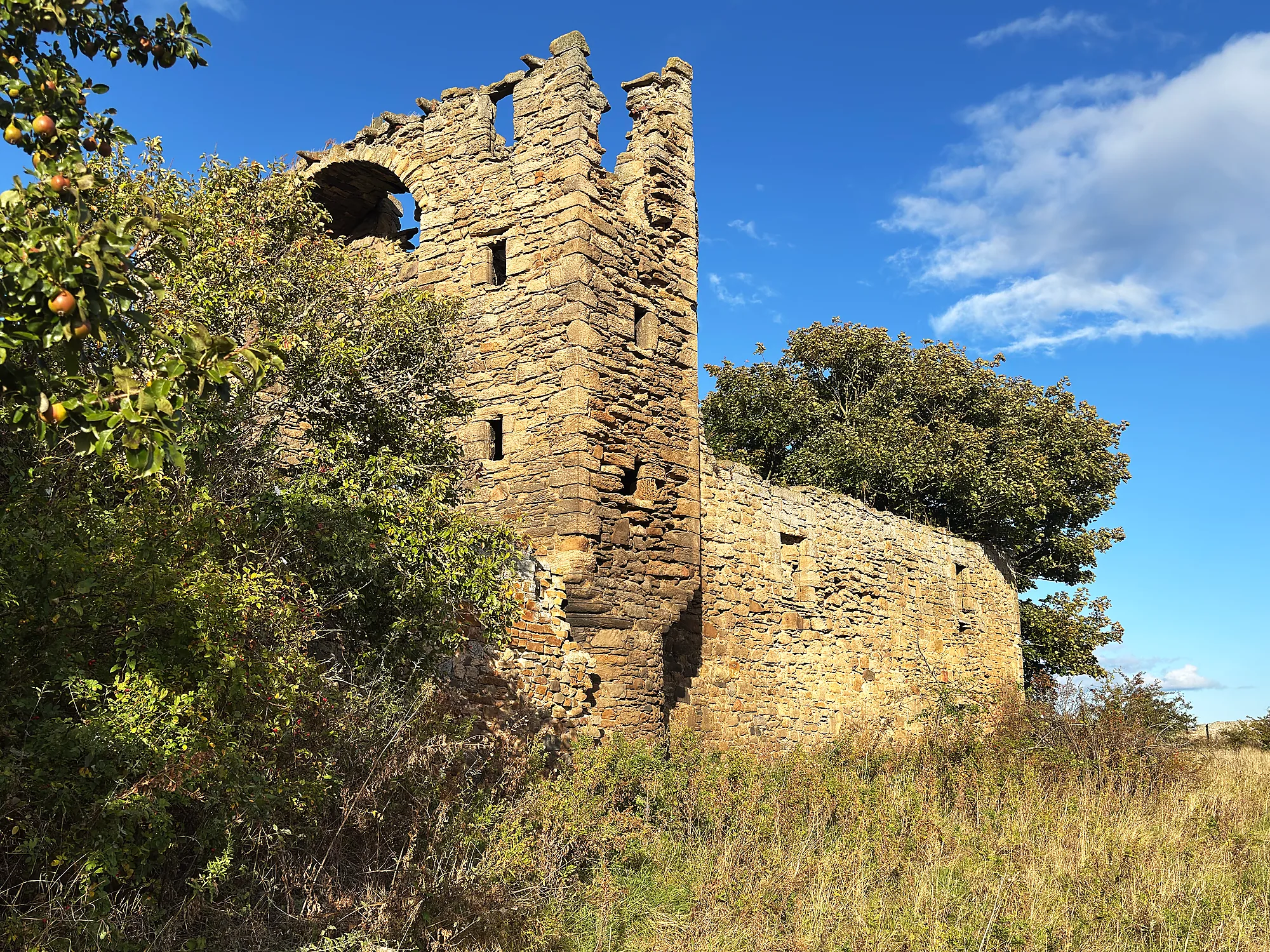 Saltcoats Castle's ruined tower and long wall beside trees and tall grass