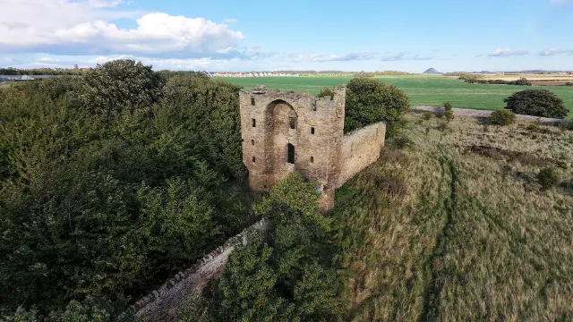 Saltcoats Castle's tower and attached wall above trees with farmland beyond