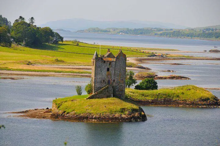 Castle Stalker tower, grassy island and exposed shoreline in sunlight