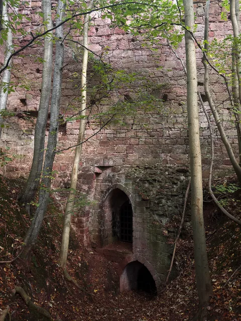 Two arched openings in the wooded slope at Yester