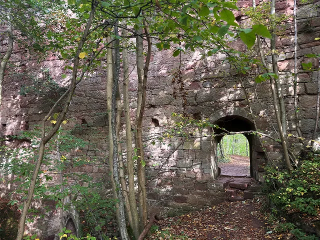 Yester Castle ruins and archway among trees